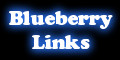 Blueberry Links